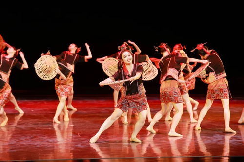 从山野到舞台 白沙舞的“出圈”之路与民族文化传播新思考