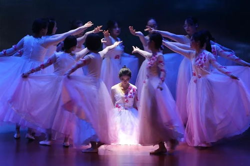 军校春晚·迎新风采 二十所院校文艺汇演集锦